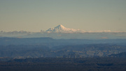 7th Jul 2024 - Taranaki