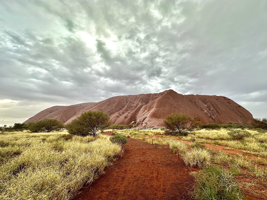 Uluru by corymbia