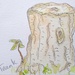 Tree Trunk by 30pics4jackiesdiamond