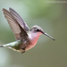 Preparing to land by mccarth1