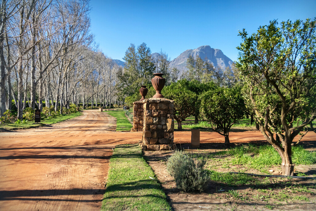 A last look at Stellenboschberg by ludwigsdiana