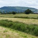 Beside the River Leven by fishers