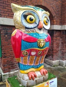 9th Jul 2024 - Minerva Owl