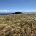 Wind over the field of barley  by billdavidson