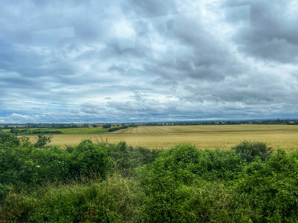 View from the train by mattjcuk