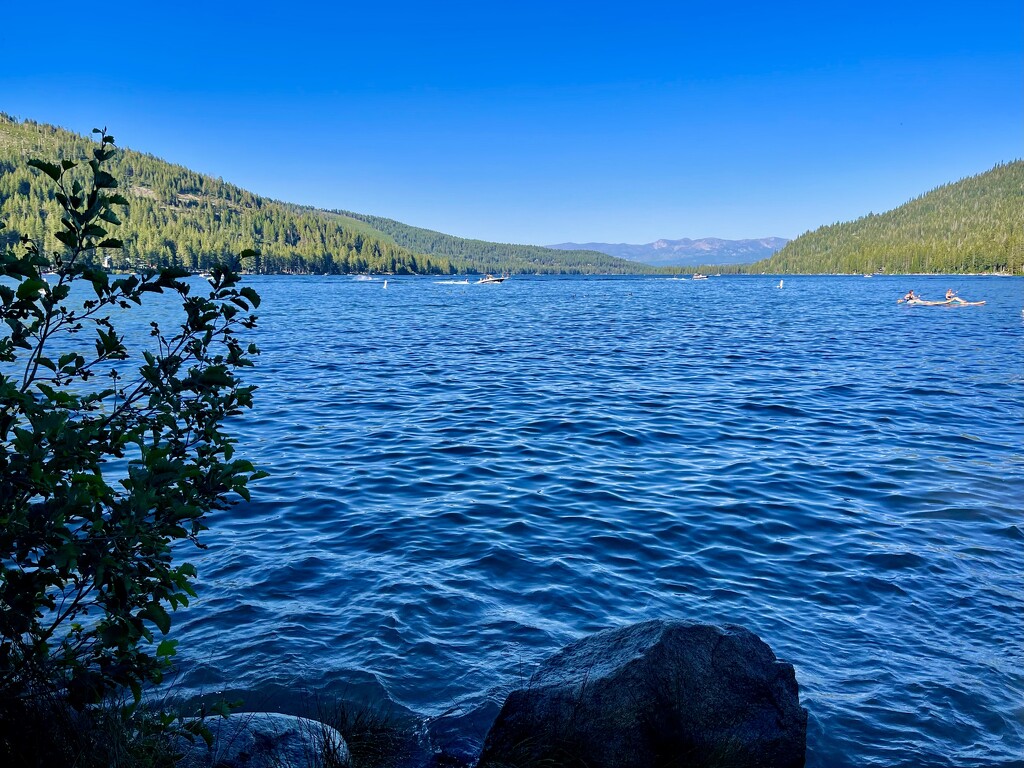 A Lake Carries You by gardenfolk