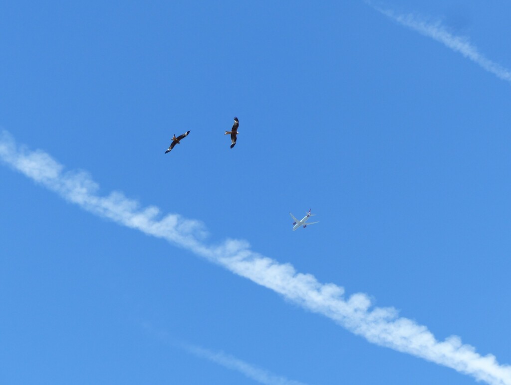 busy sky! by jokristina