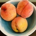 Peaches by mtb24