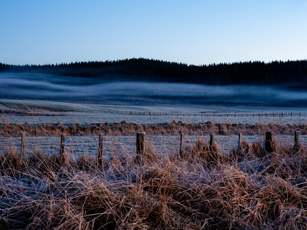 Streams of mist by christinav