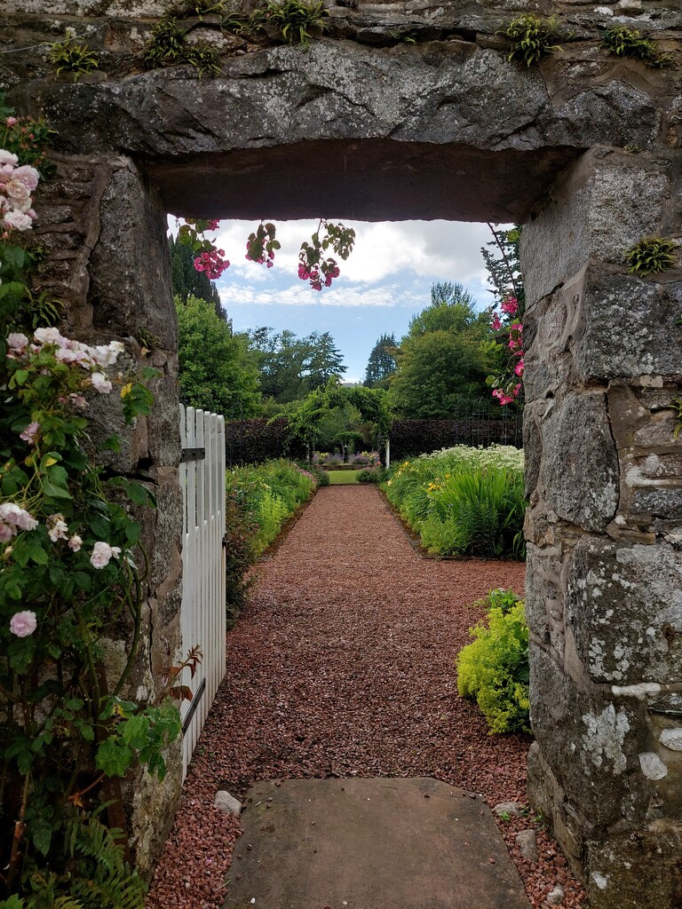 Through the gate by samcat