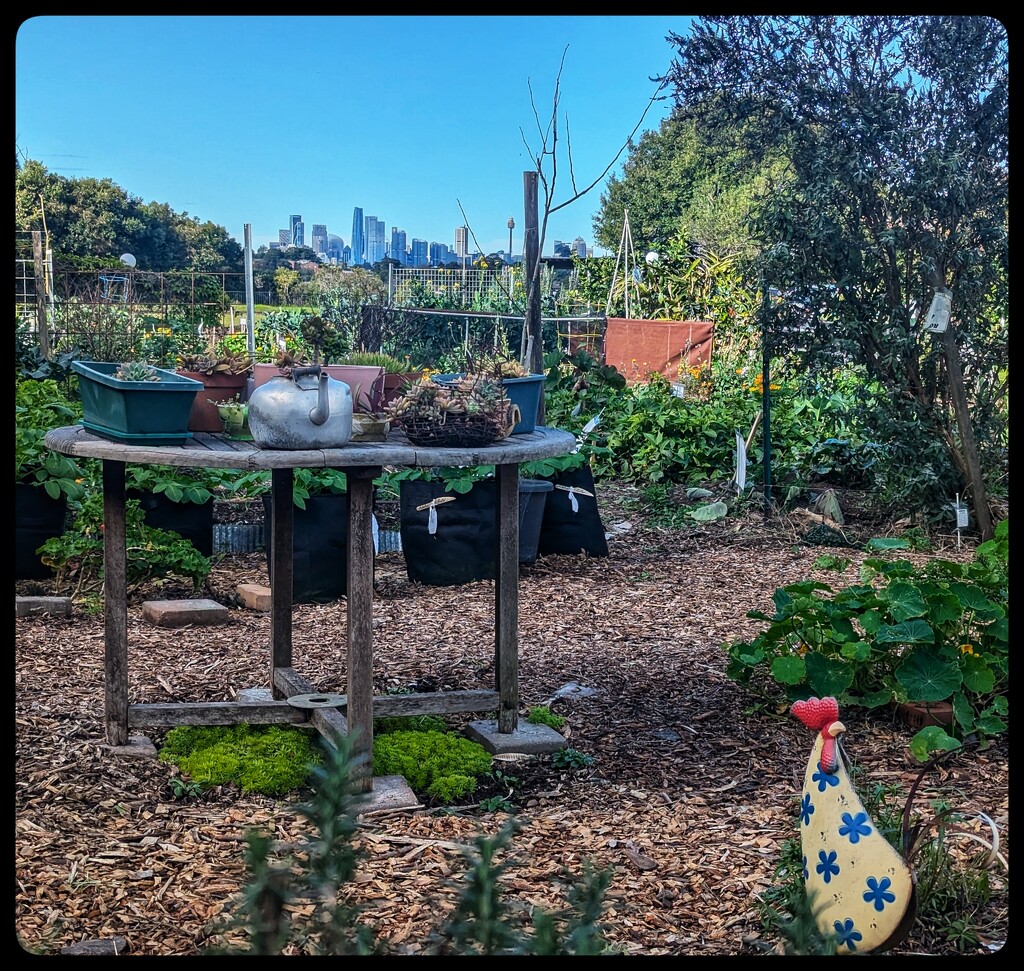 Garden with Cityscape by elf