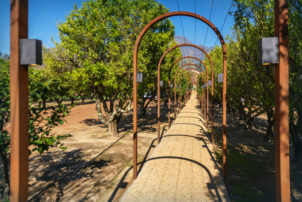 Path to the winery and restaurant by ludwigsdiana