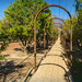 Path to the winery and restaurant by ludwigsdiana