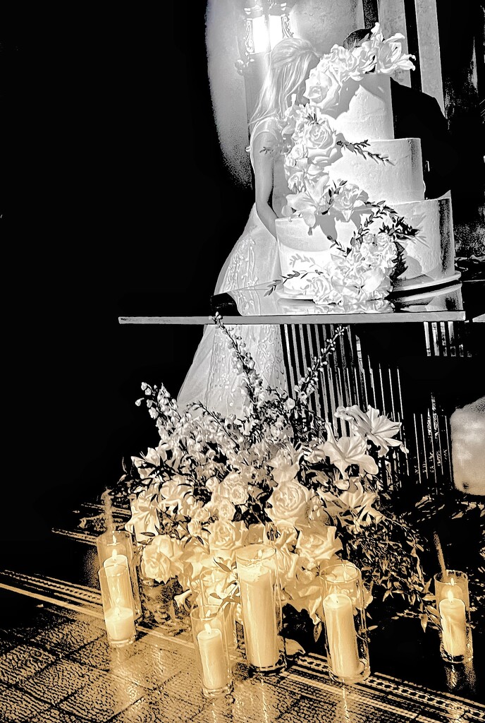 Reflections on a Wedding Cake  by rensala