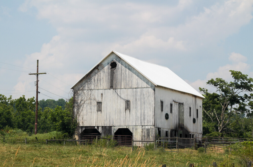 White barn by mittens