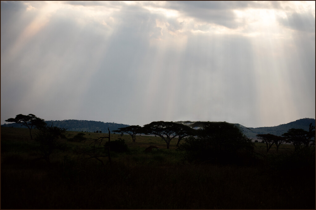 Ngorongoro Crater - End of the day by 365projectorgchristine