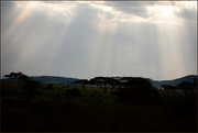 10th Jul 2024 - Ngorongoro Crater - End of the day