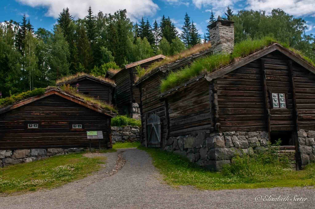 Old houses on Maihaugen by elisasaeter