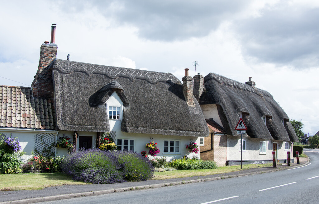 Thatched cottages, Hilton by busylady