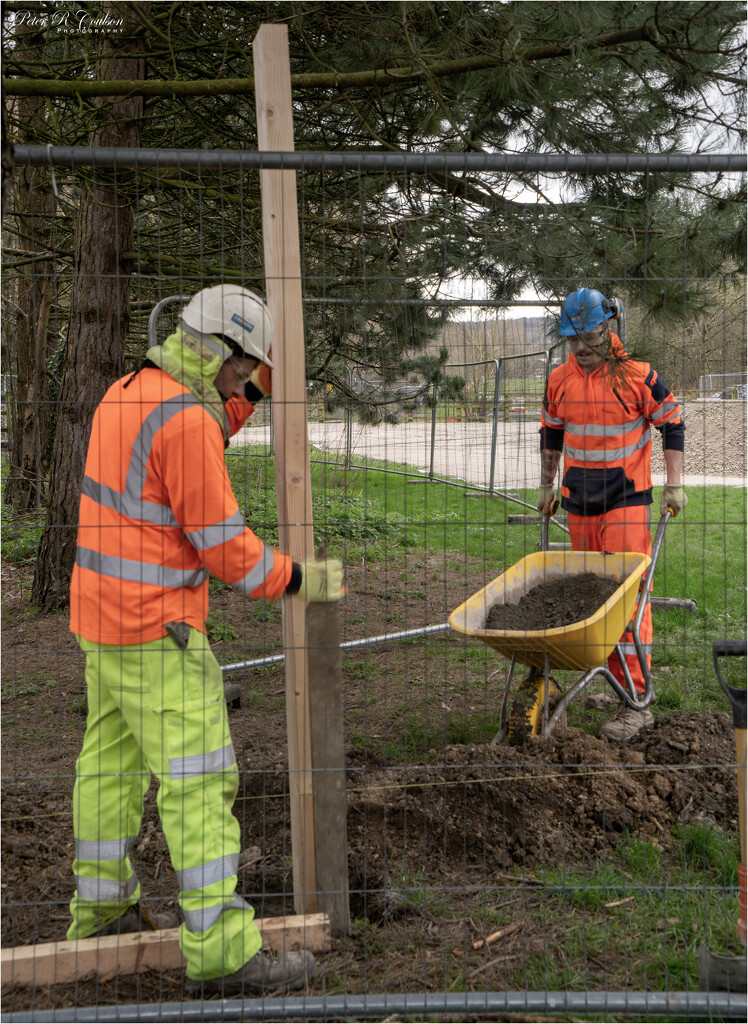 Men at Work by pcoulson