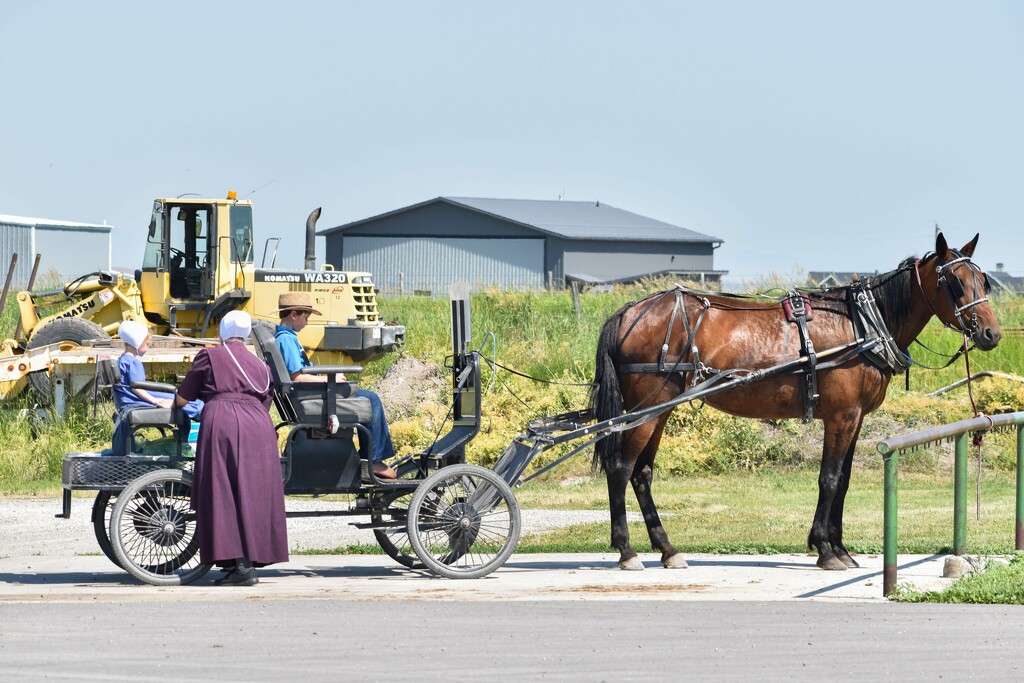 Amish Mom And Kids  by bjywamer