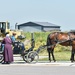 Amish Mom And Kids  by bjywamer