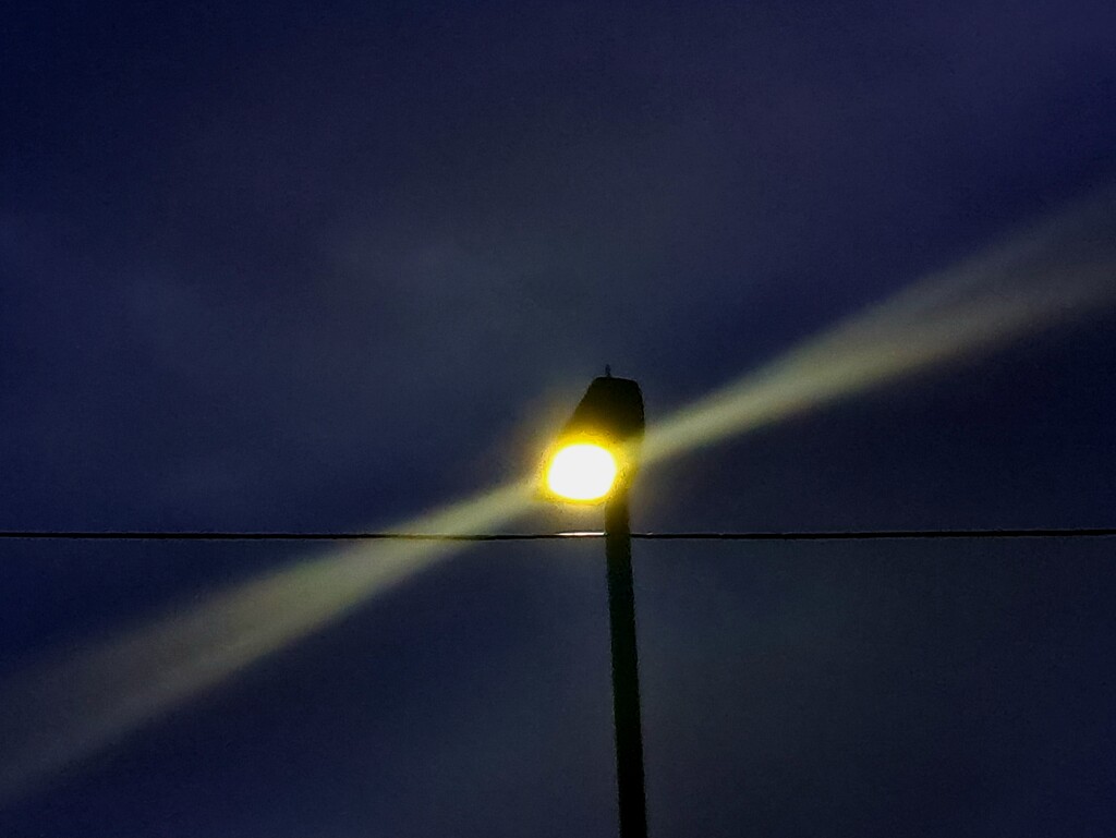 Day 192/366. Street light.  by fairynormal