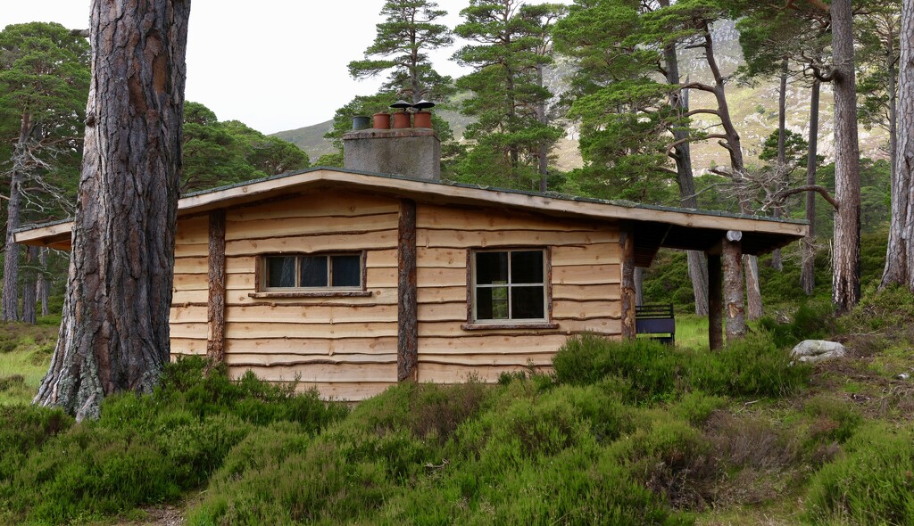 The Honka Hut, Balmoral Estate by jamibann