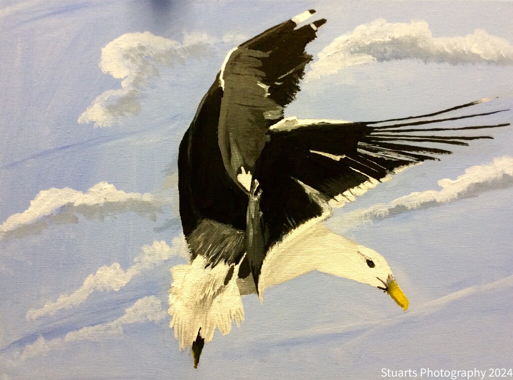 Seagull in flight (painting) by stuart46