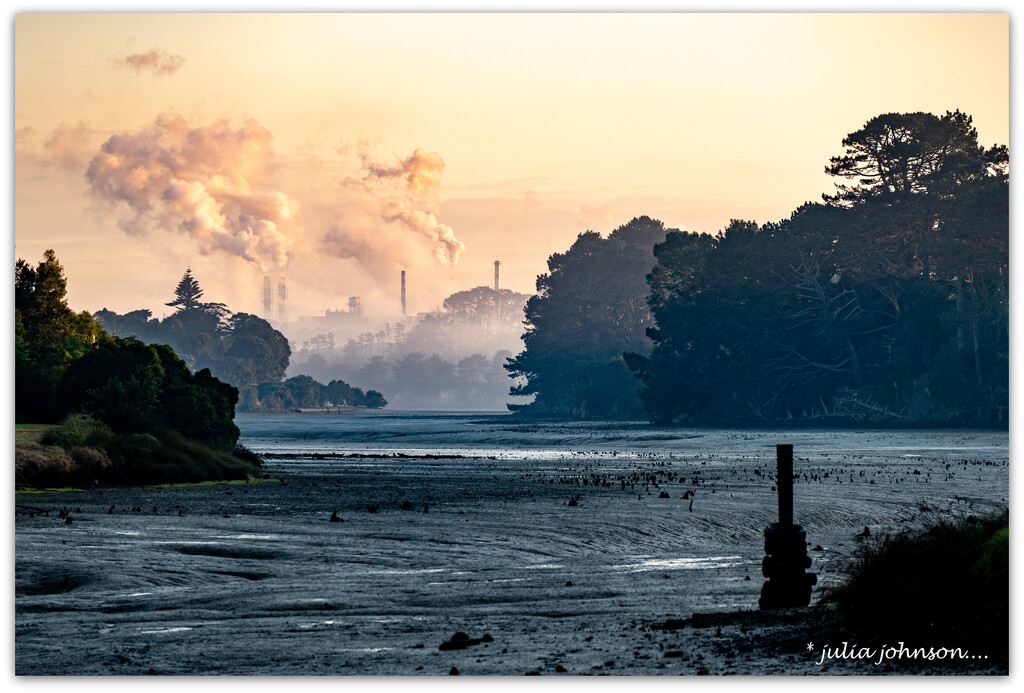 Low Tide.. by julzmaioro