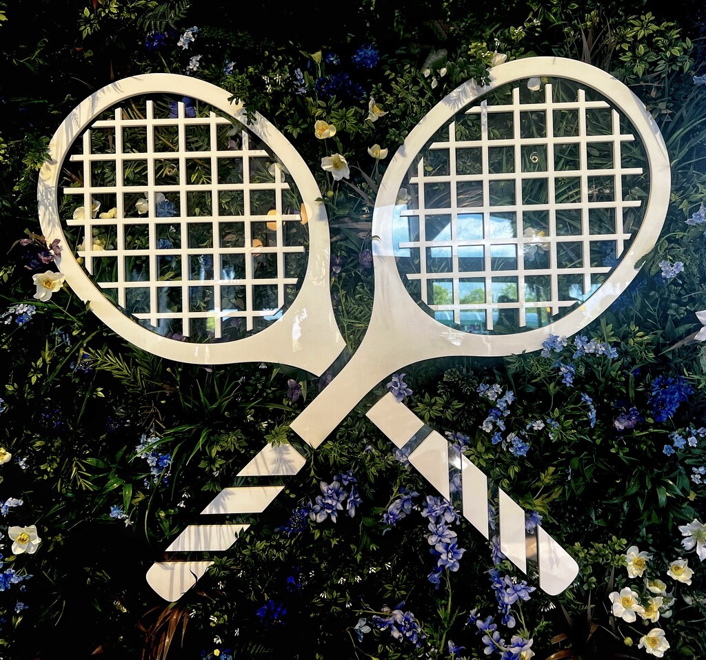 Reflections on Tennis (11) by rensala