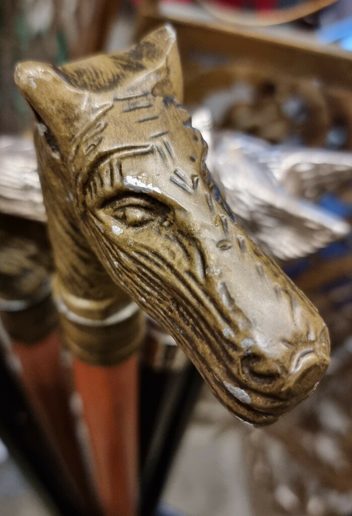 The stick with the horse's head handle  by angelar