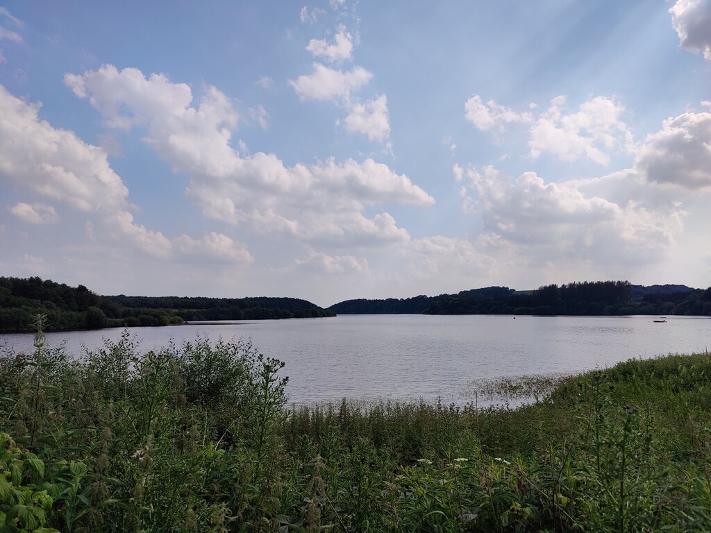 Reservoir view by roachling