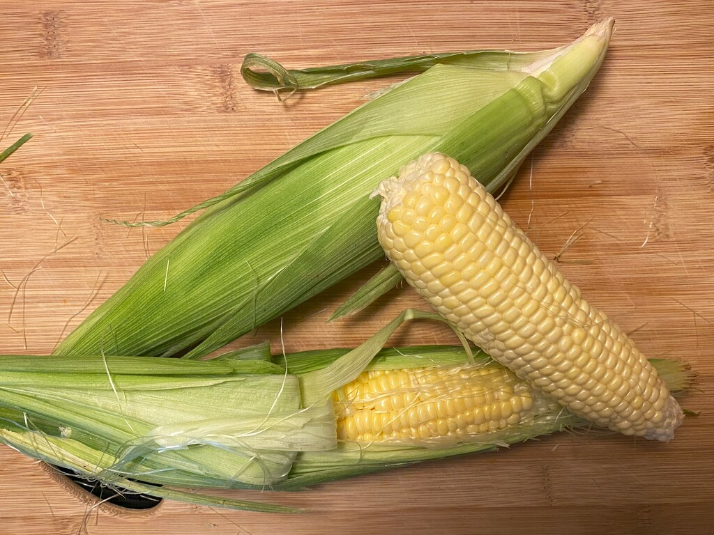 Indiana corn by tunia