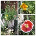 Growing Wildflowers in the Tree Stump by dailypix