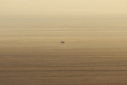 11th Jul 2024 - Lone Tree in Namib Desert