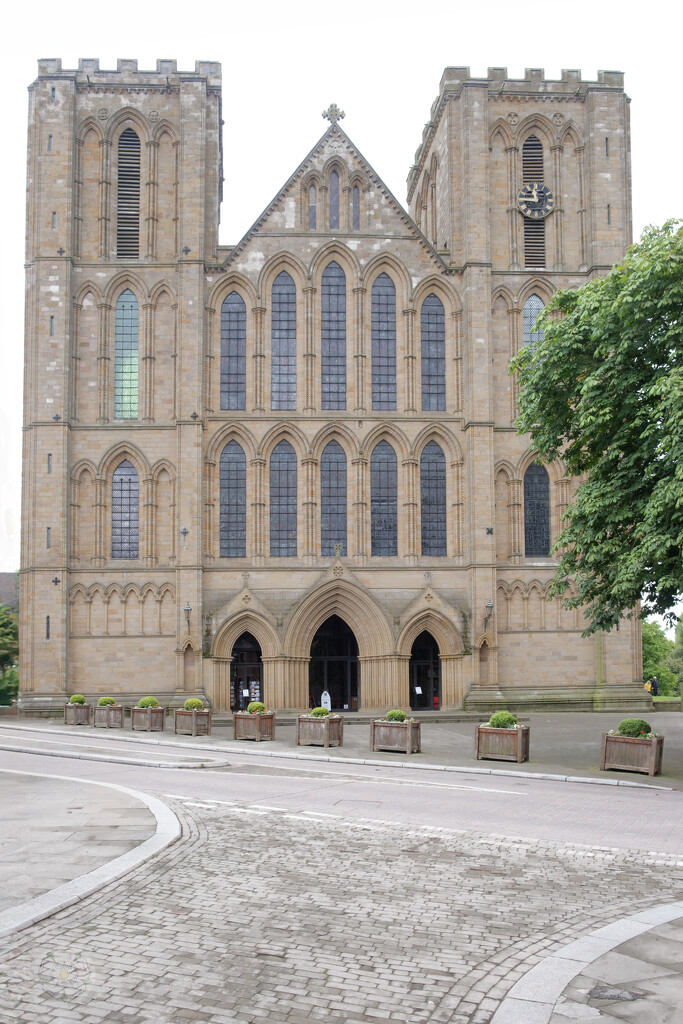 Ripon Cathedral by lumpiniman