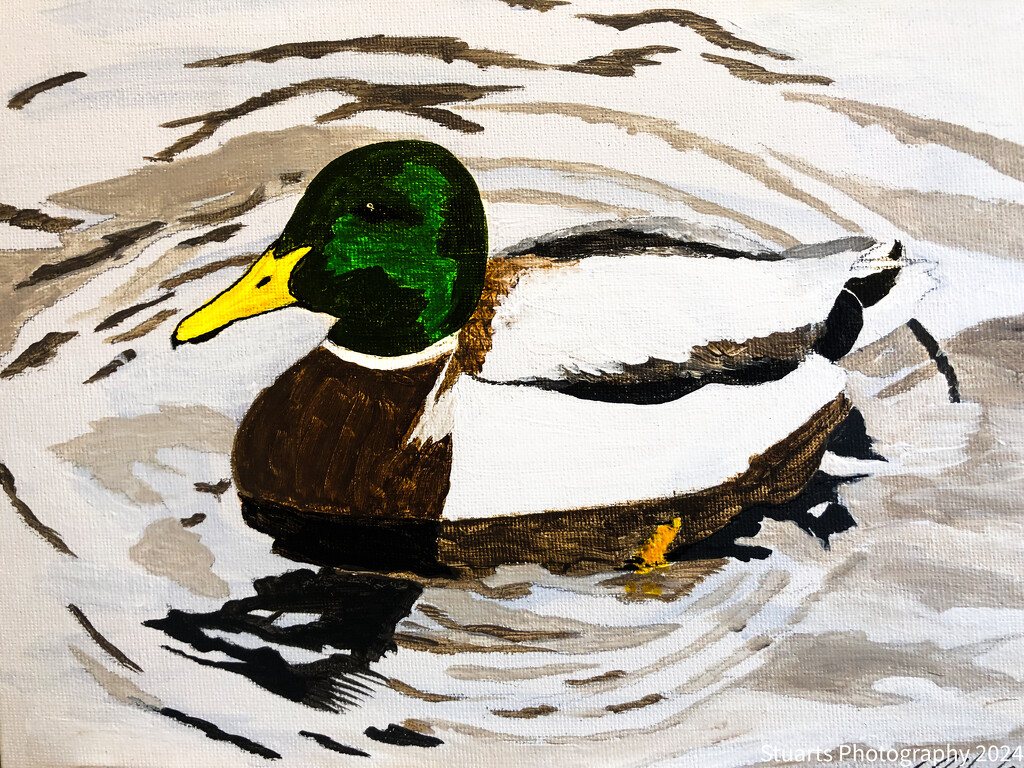 Mallard (painting) by stuart46