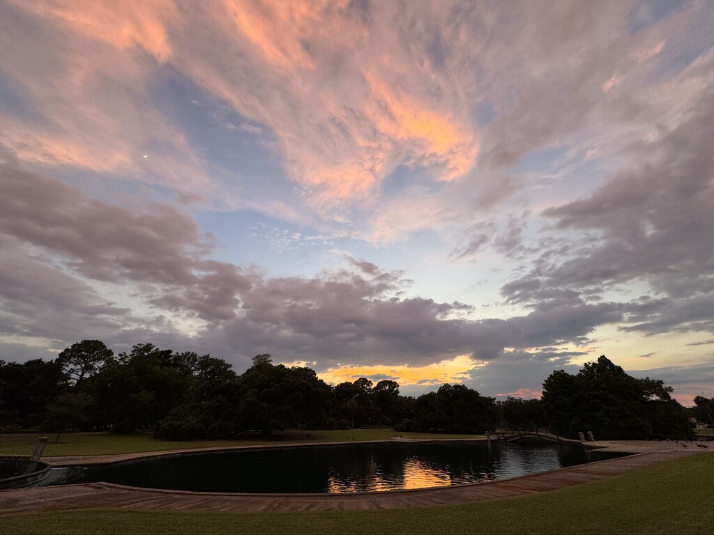 Hampton Park sunset by congaree