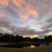 Hampton Park sunset by congaree