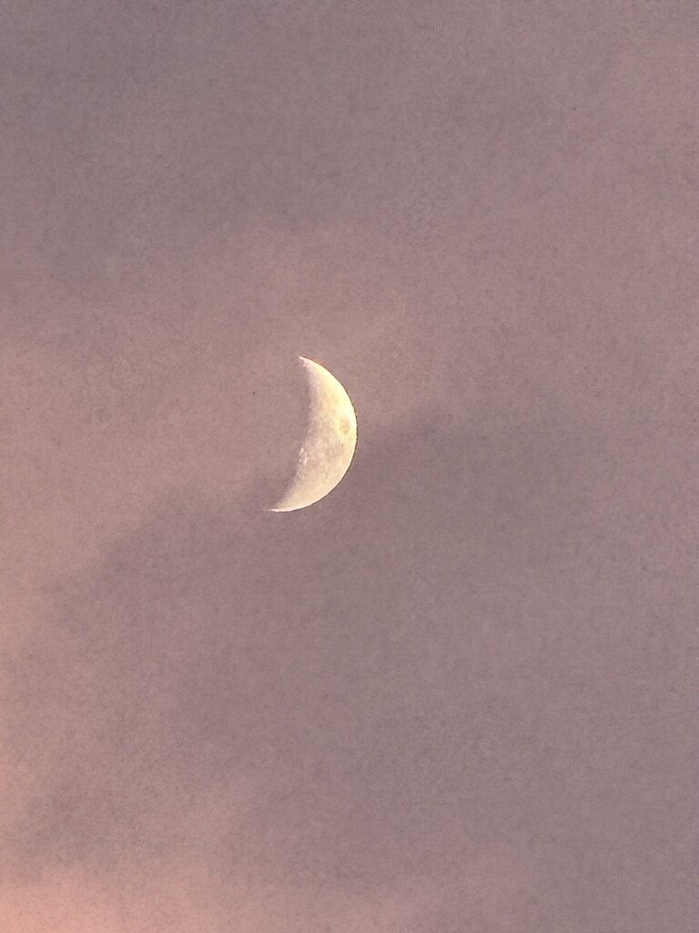 Moon and sunset by congaree