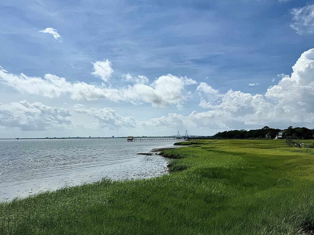 Summer clouds and marsh along Charleston Harbor by congaree