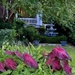 One of my favorite Charleston gardens by congaree