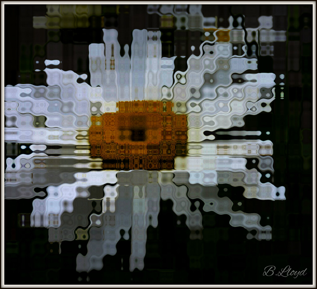 Daisy. by beryl