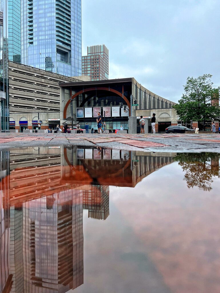 City Puddle by njmom3