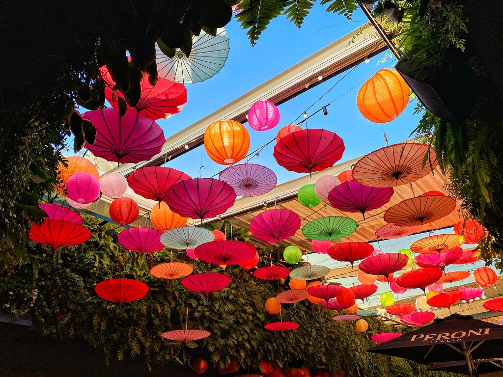 Umbrellas at Sydney’s Paragon Hotel rooftop bar.  by johnfalconer