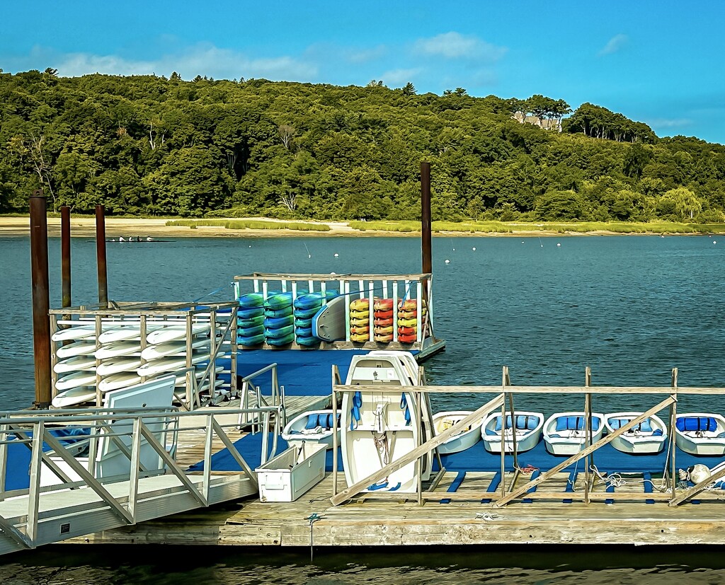 Boats and Boards Ready for Rental by jnewbio