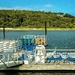 Boats and Boards Ready for Rental by jnewbio