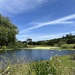 Elkhorn Slough by shutterbug49