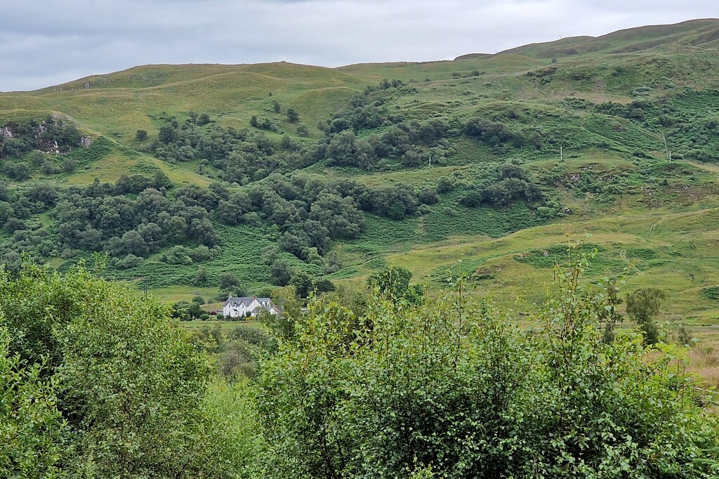 house through trees by christophercox